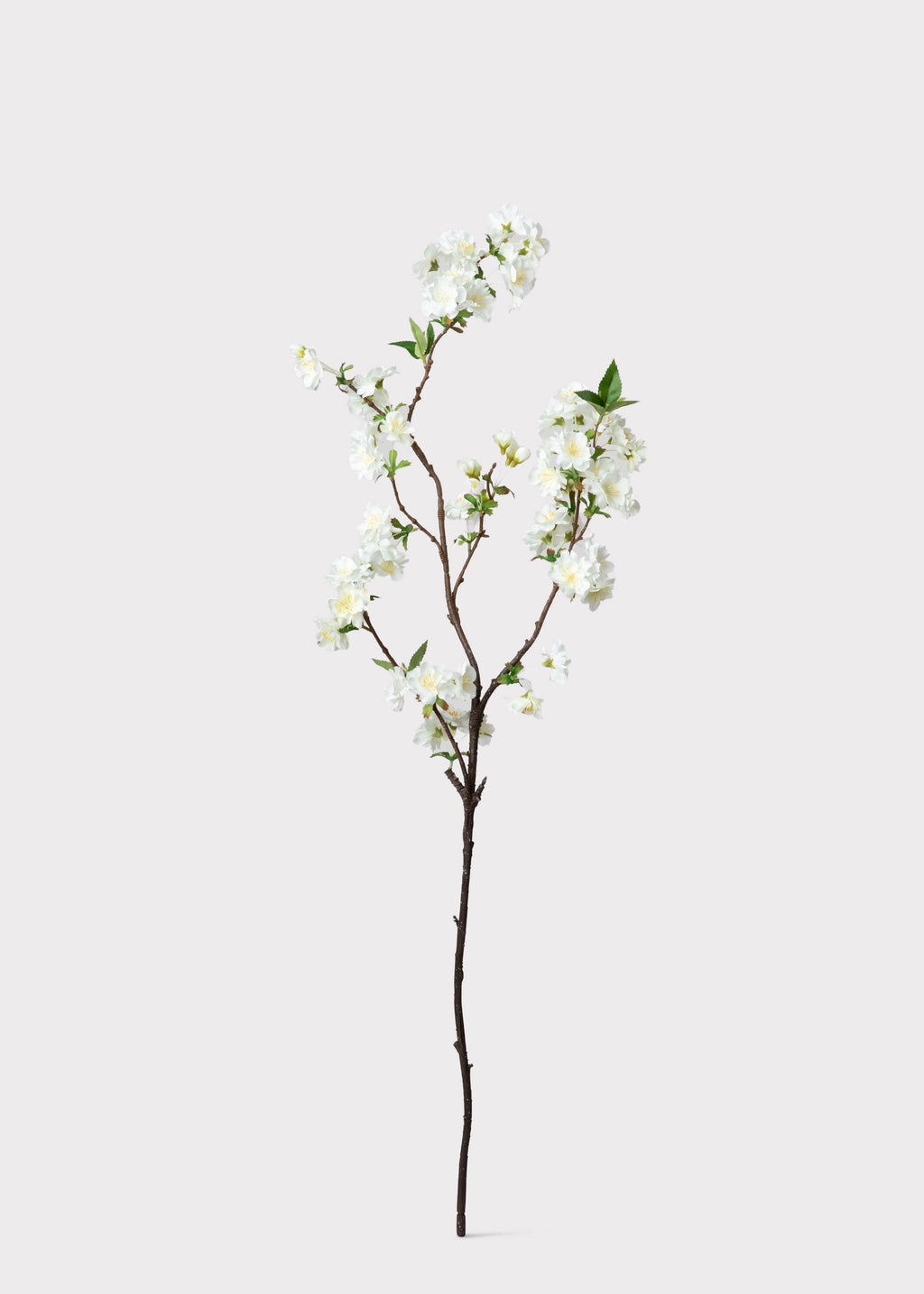 Cream White Artificial Cherry Blossom Branch - 36