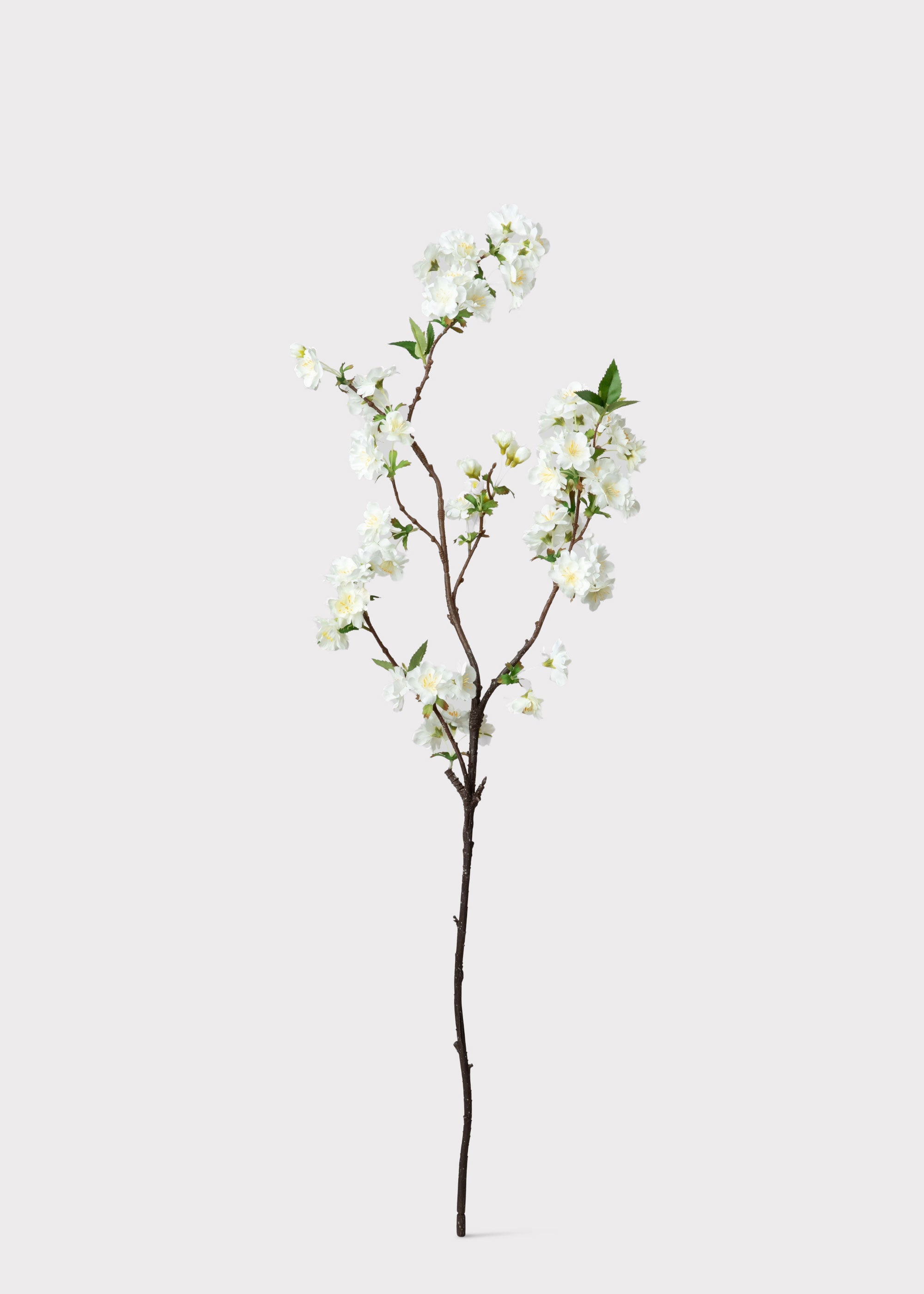 Cream White Artificial Cherry Blossom Branch - 36