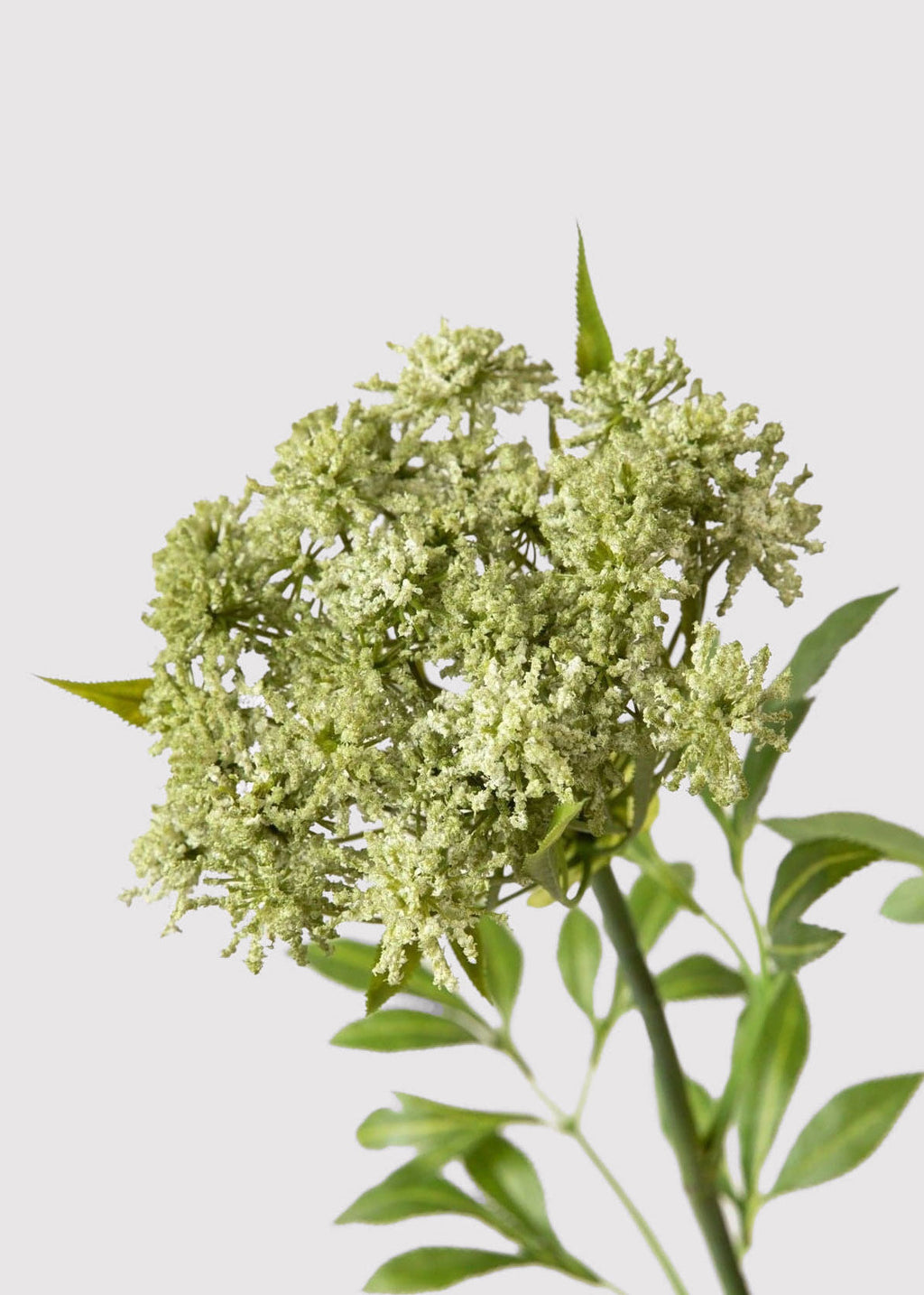 Faux Queen Anne's Lace Wildflowers - 36