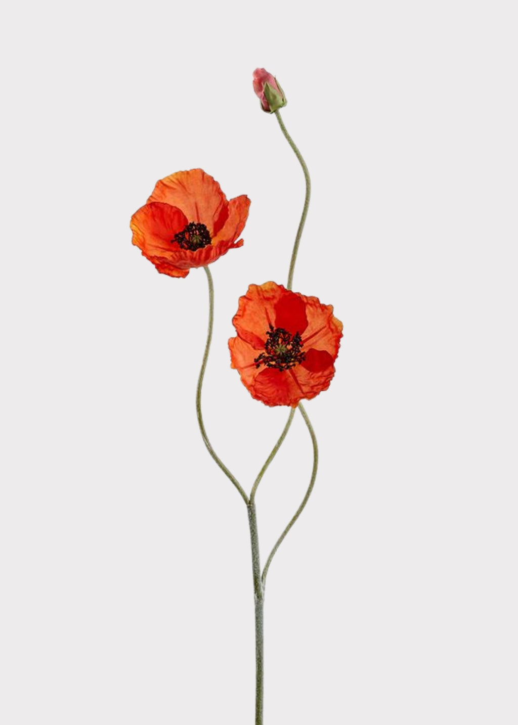 Faux Blooming Poppy Flowers in Orange - 29