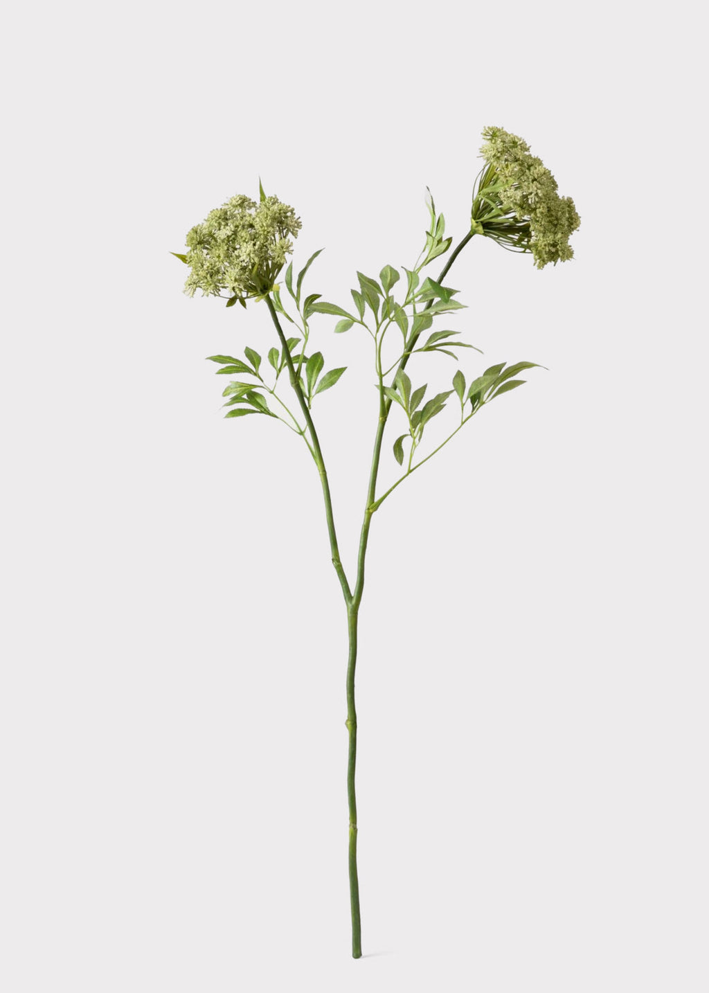Faux Queen Anne's Lace Wildflowers - 36