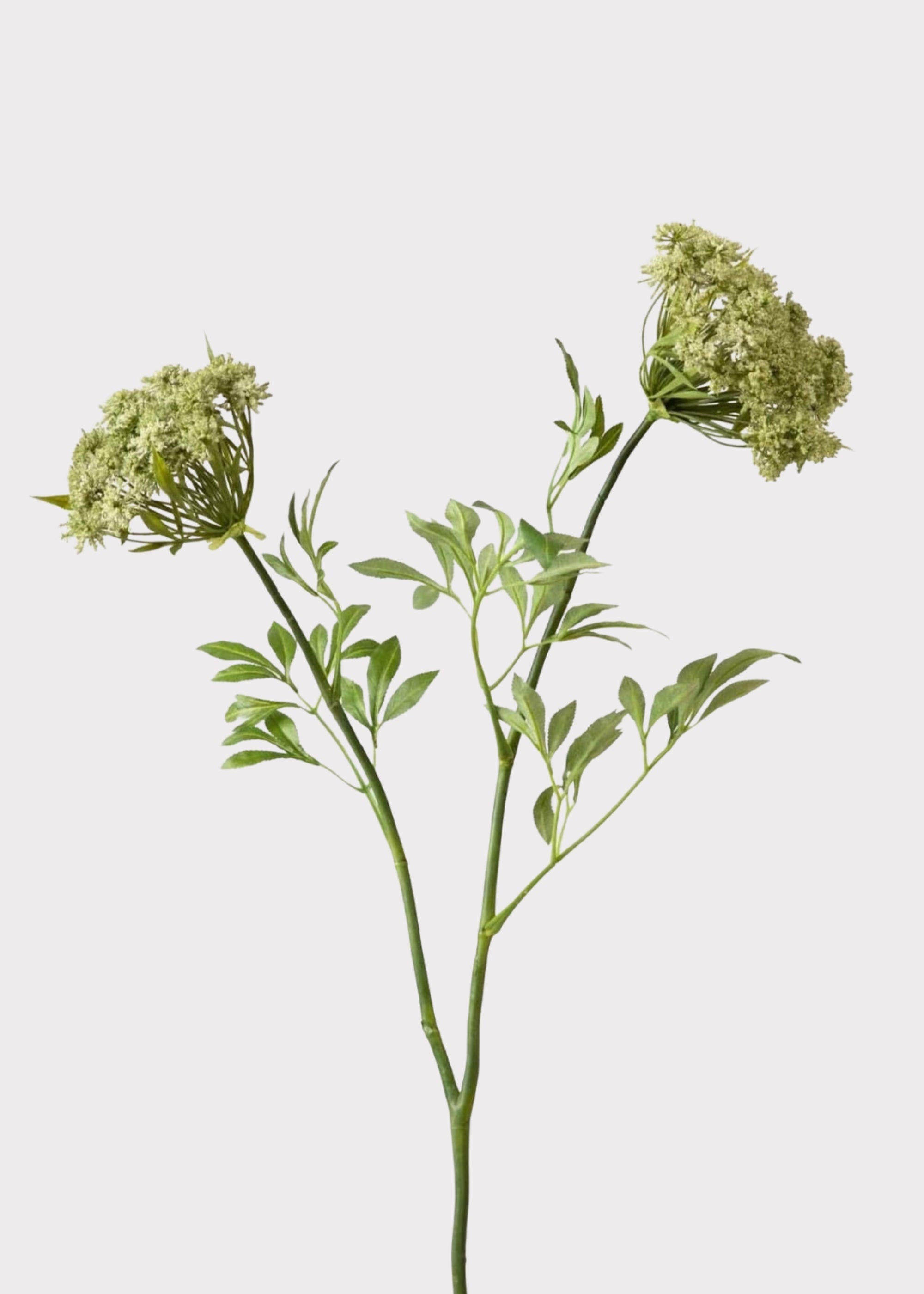 Faux Queen Anne's Lace Wildflowers - 36