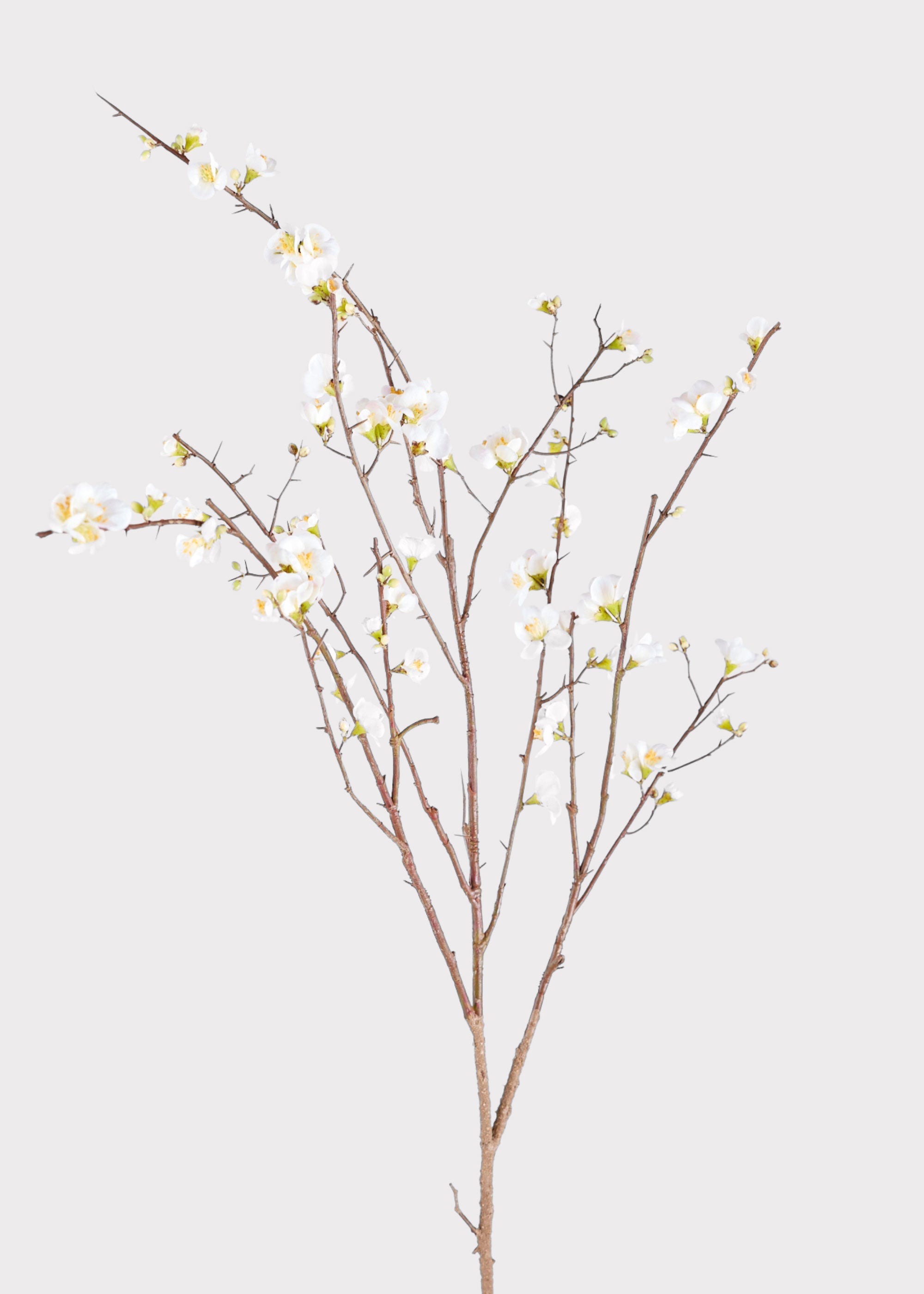 SAVE - Faux Quince Blossom Branch in Cream - 54