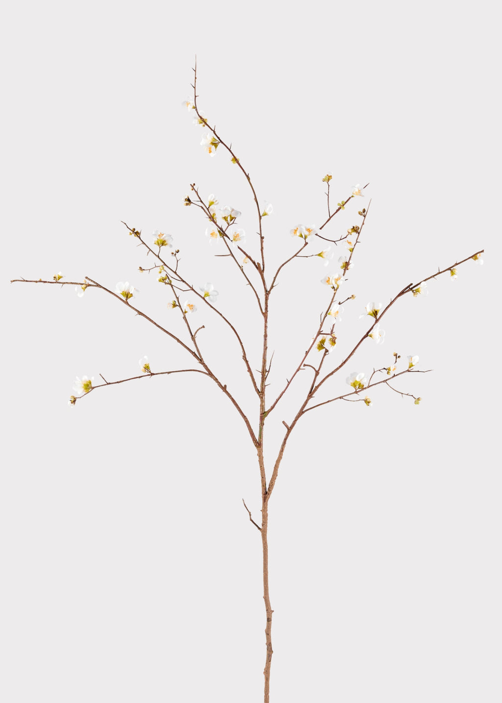 SAVE - Faux Quince Blossom Branch in Cream - 54