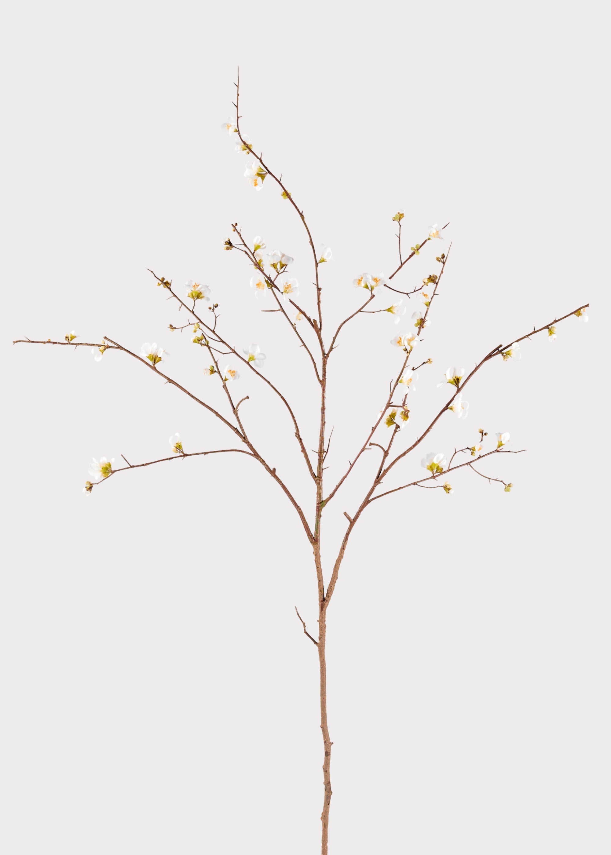 SAVE - Faux Quince Blossom Branch in Cream - 54