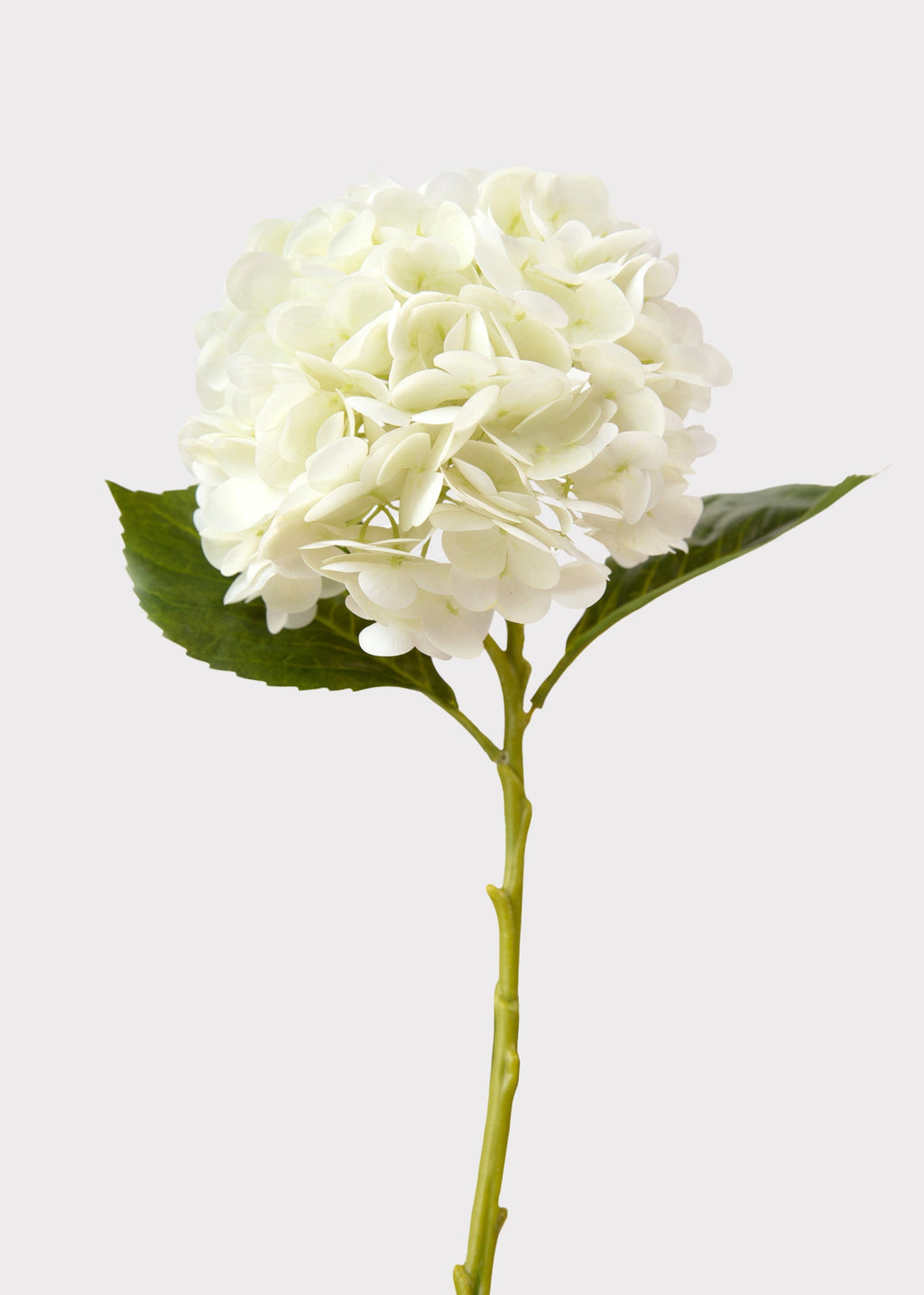Cream White Hydrangea Real Touch Fake Flower - 18.5
