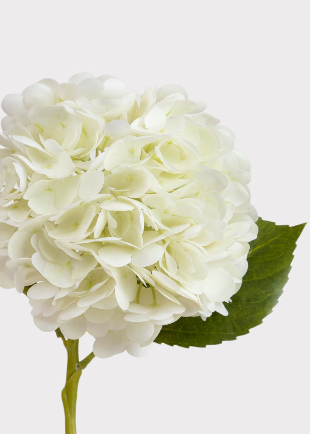 Cream White Hydrangea Real Touch Fake Flower - 18.5