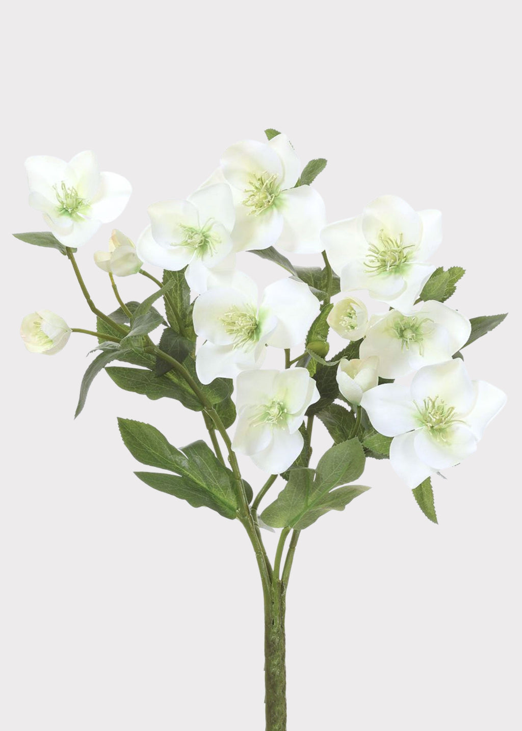 Cream Green Fake Helleborus Flower Bush - 14