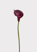 Plum Purple Artificial Calla Lily Real Touch Flower - 33