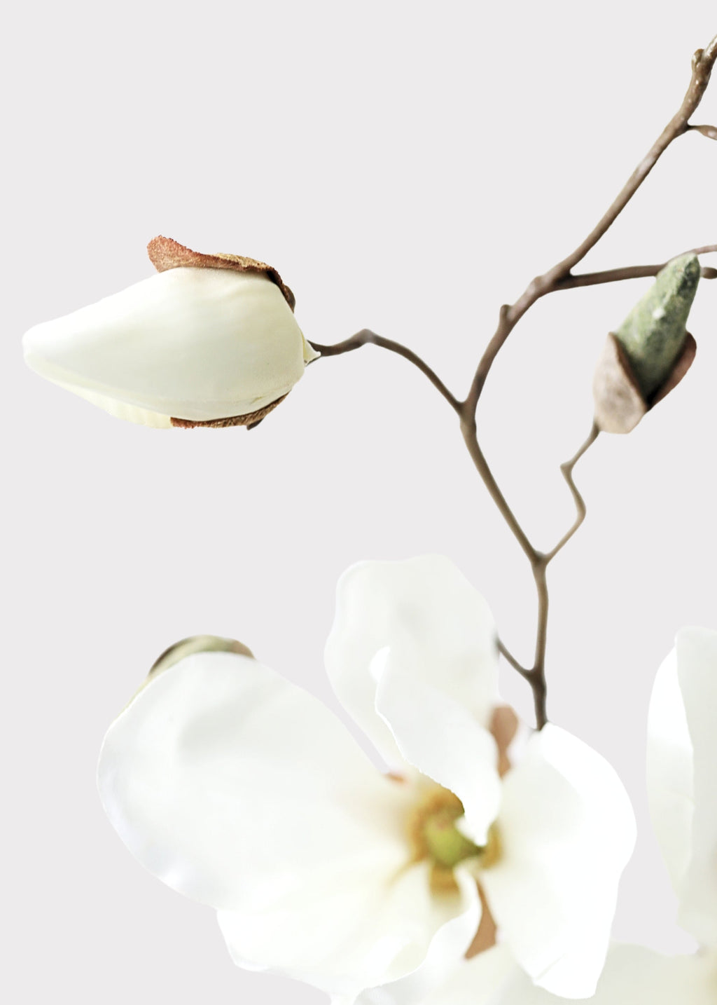 Cream Artificial Magnolia Flower Stem - 19