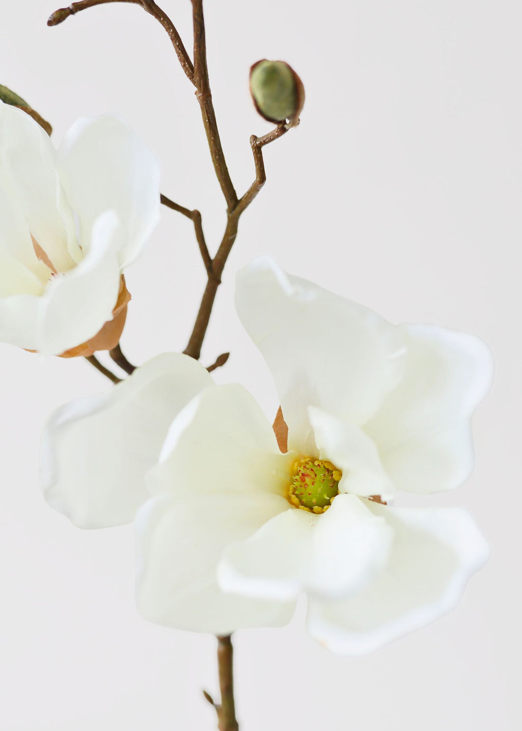 Cream Artificial Magnolia Flower Stem - 19