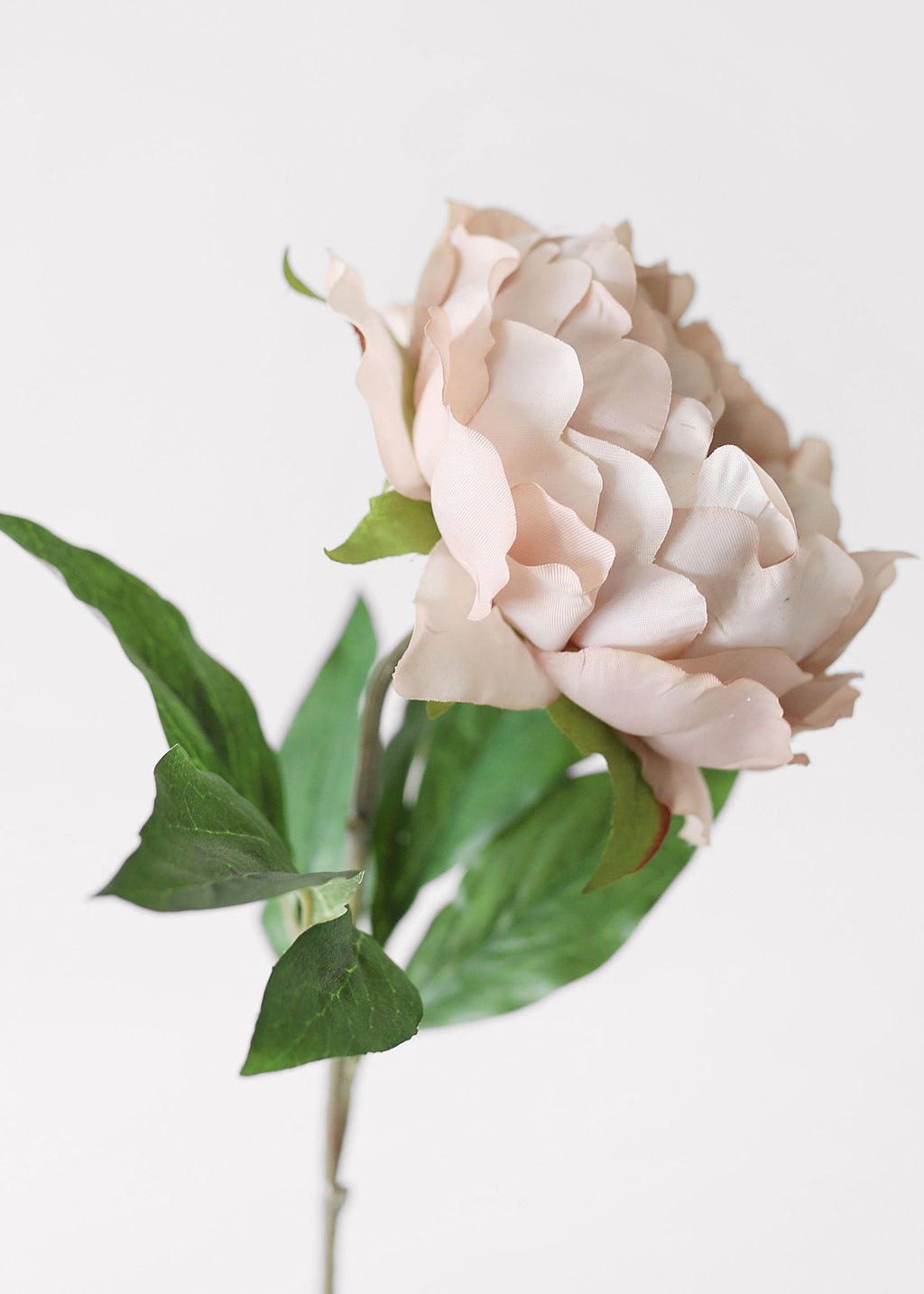 Artificial Peony Flower in Mauve Beige - 18.5
