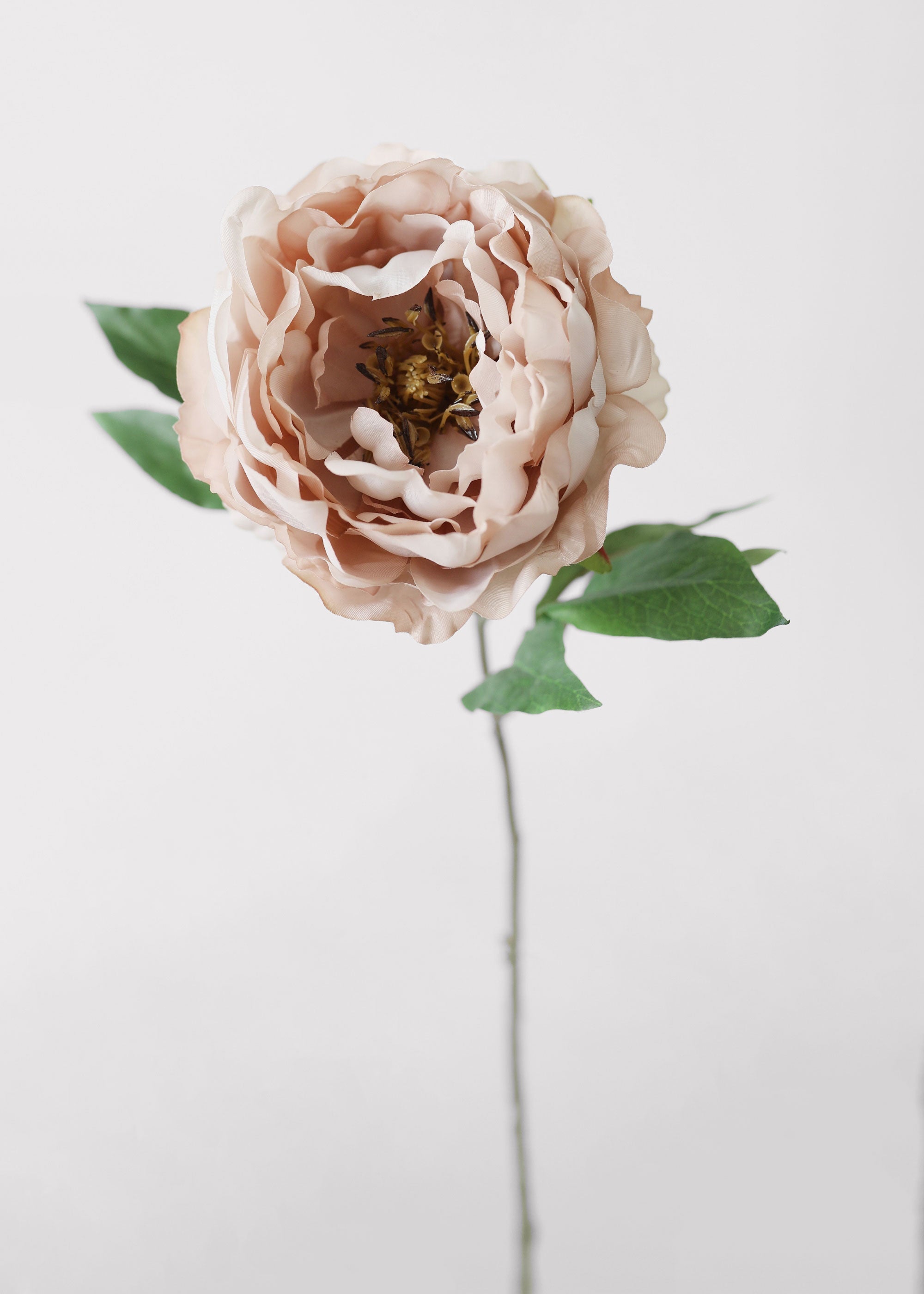 Artificial Peony Flower in Mauve Beige - 18.5