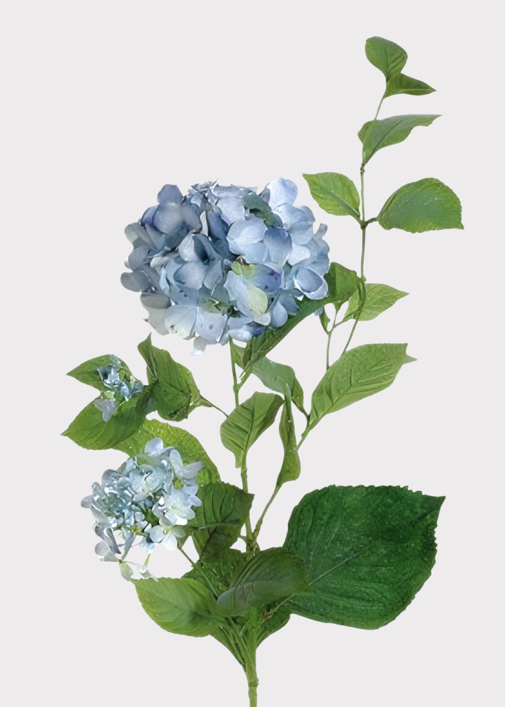 Artificial Hydrangea in Antique Light Blue - 36