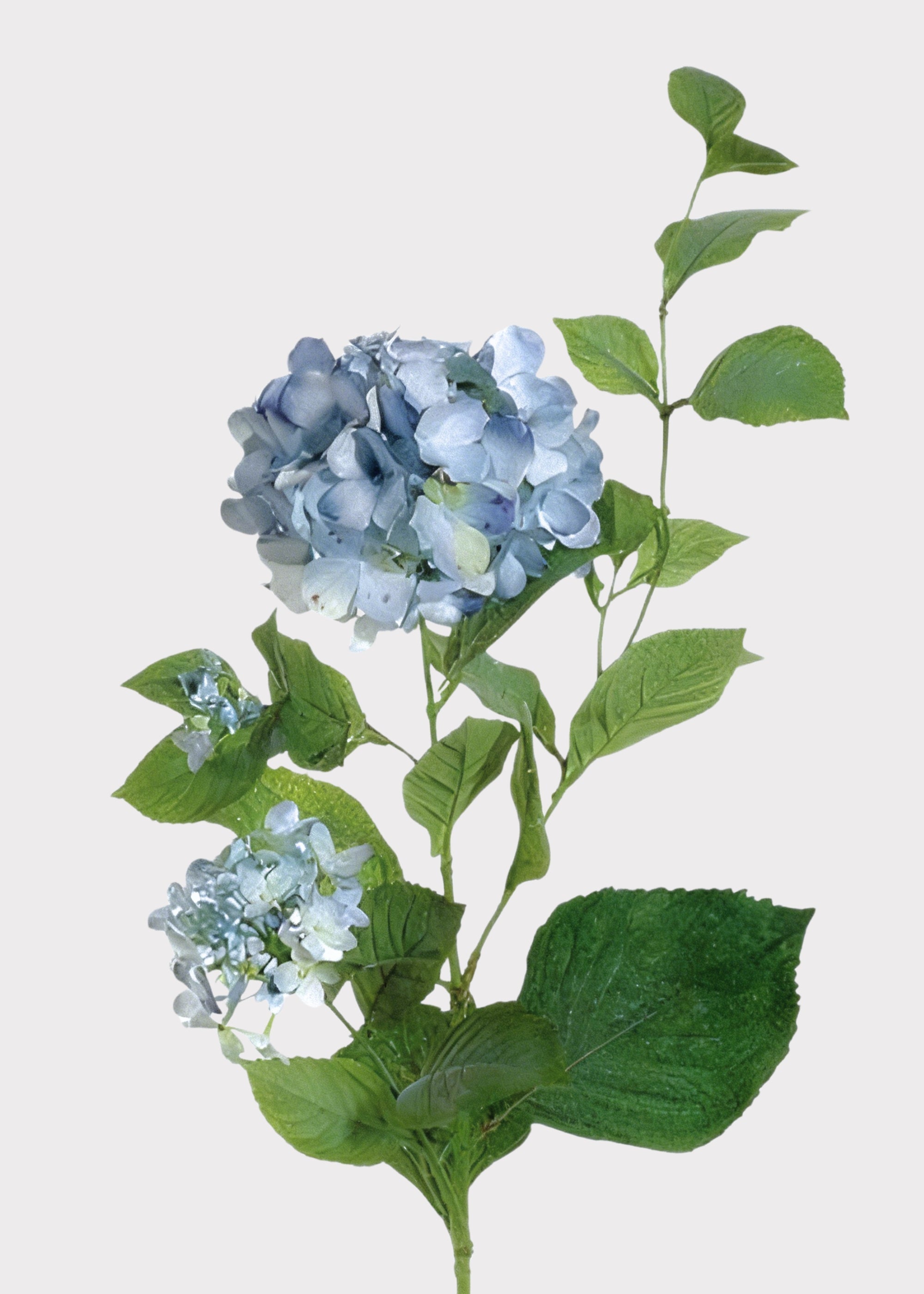 Artificial Hydrangea in Antique Light Blue - 36