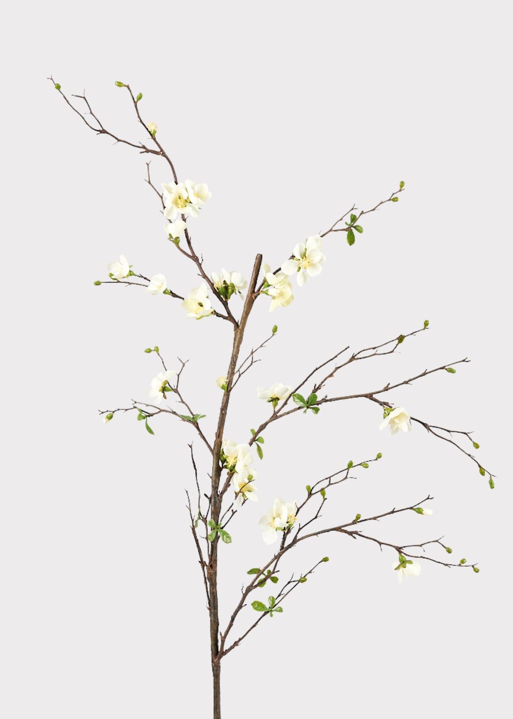 Premium Artificial Flowers  - Cream Artificial Blossom Branch - 57