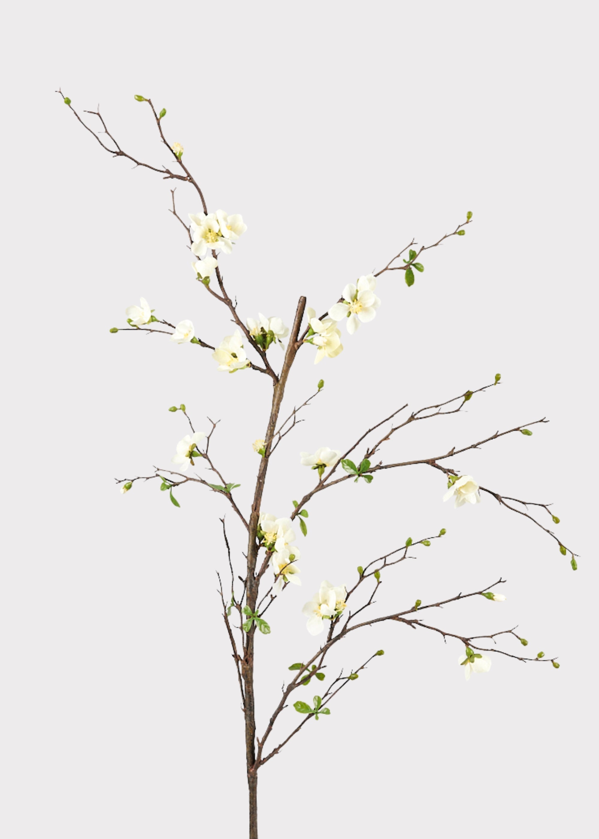 Premium Artificial Flowers  - Cream Artificial Blossom Branch - 57