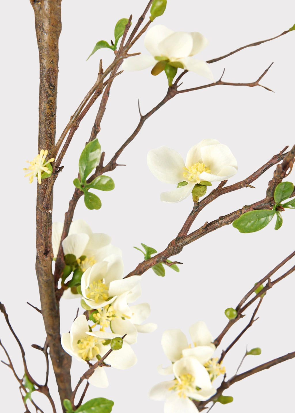Premium Artificial Flowers  - Cream Artificial Blossom Branch - 57