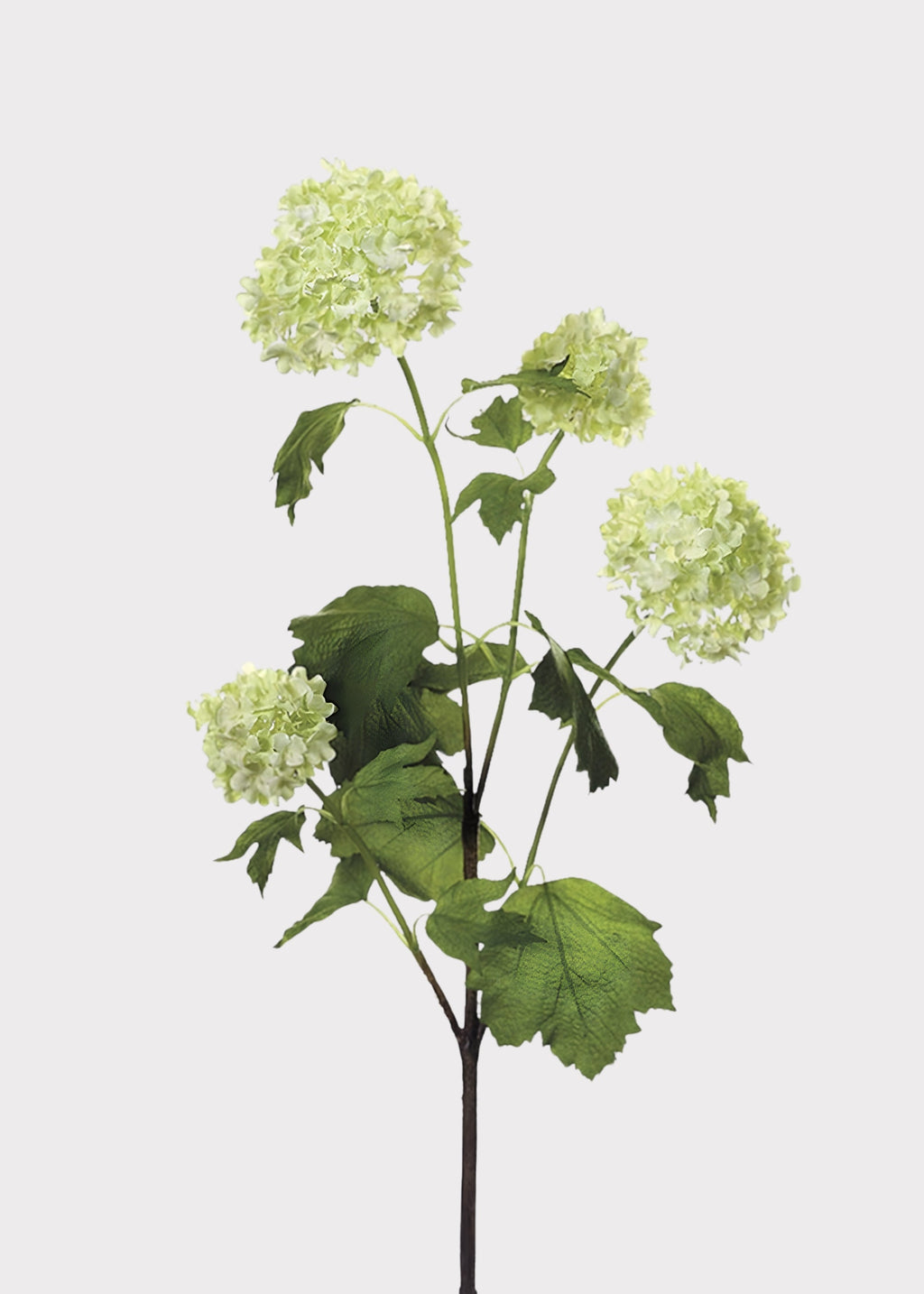 SAVE - Green Cream Artificial Snowball Flowers - 24