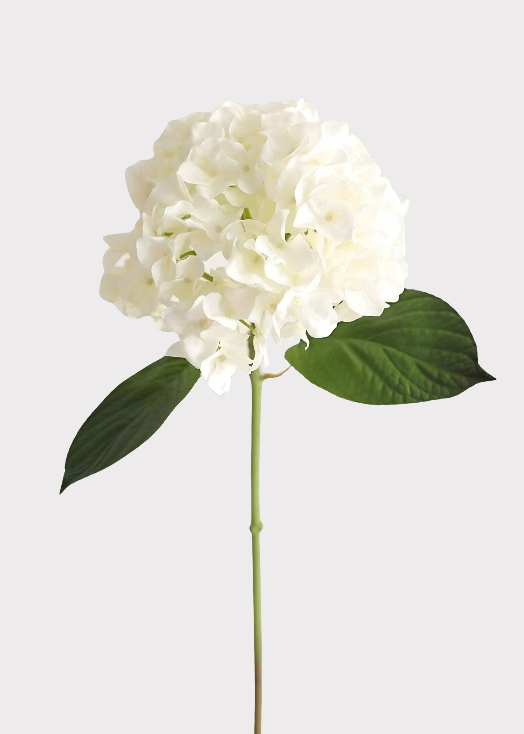 Fake Flowers Real Touch Hydrangea Stem in Talc White  - 18