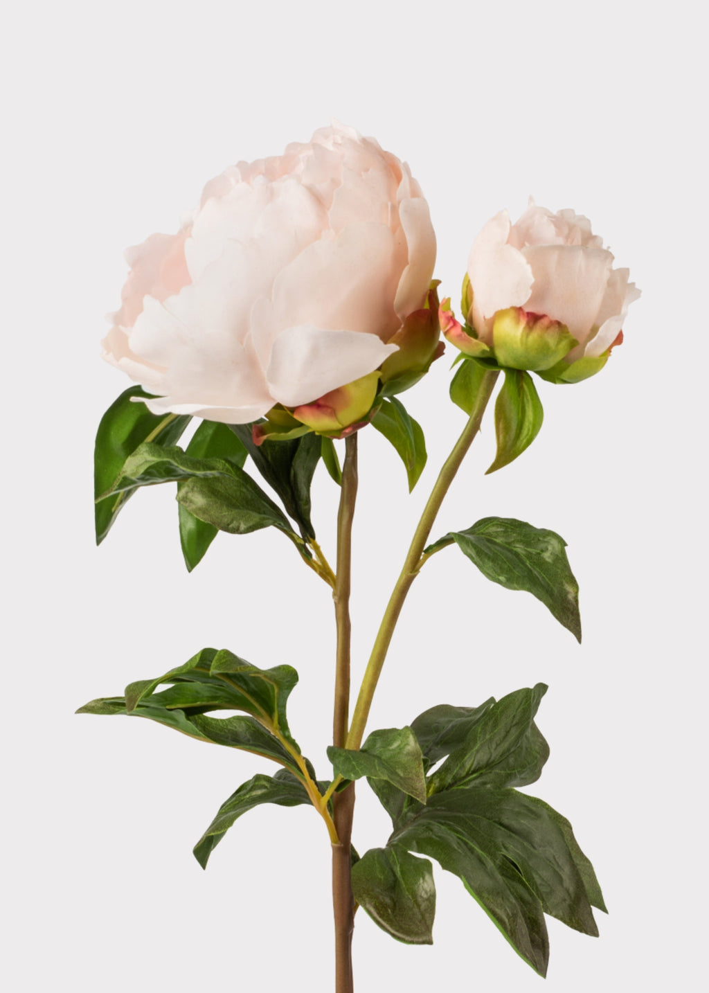 Real Touch Fake Flowers Blush Peony - 27