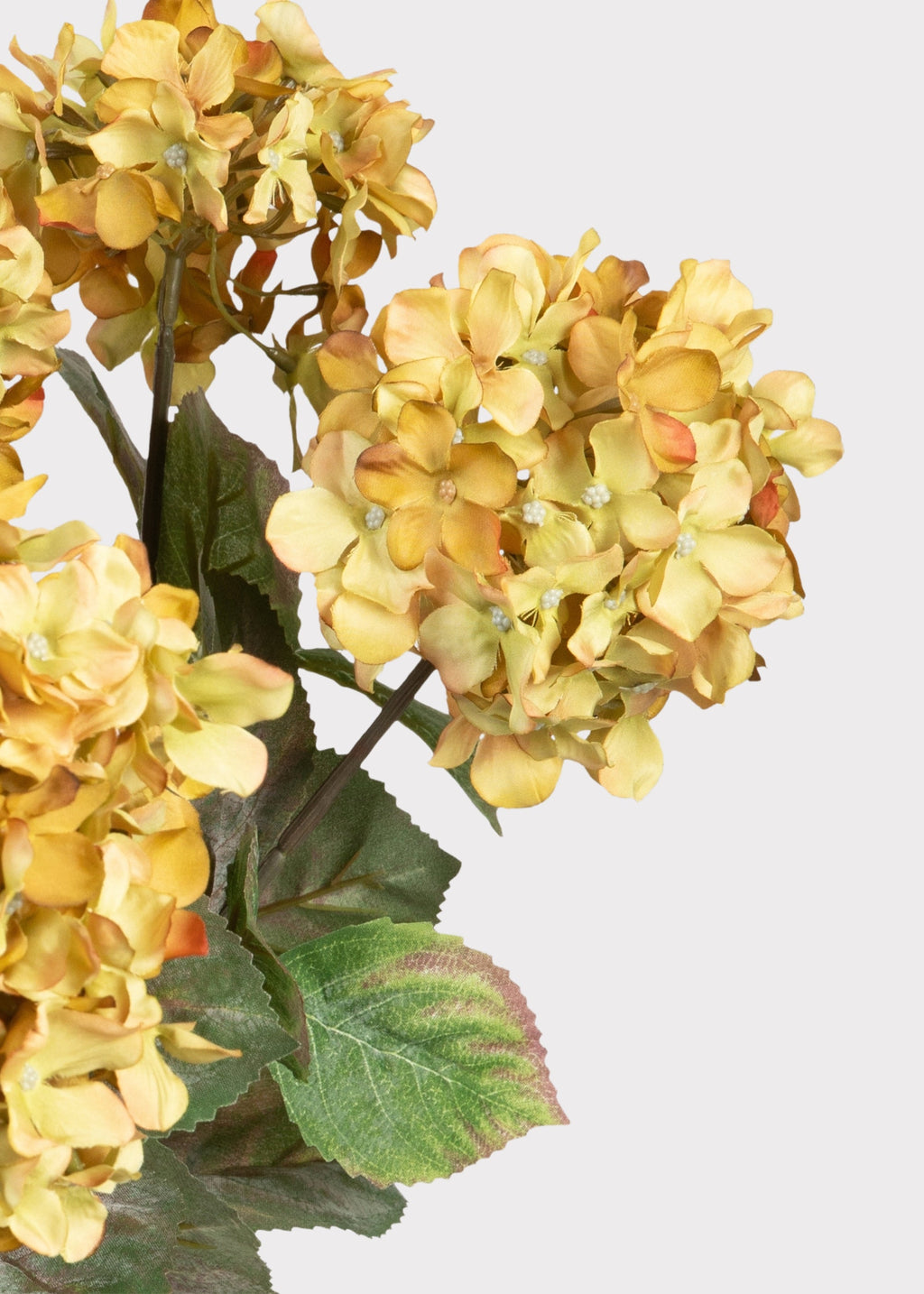 SAVE - Vintage Antique Green Fake Hydrangea Bush - 20
