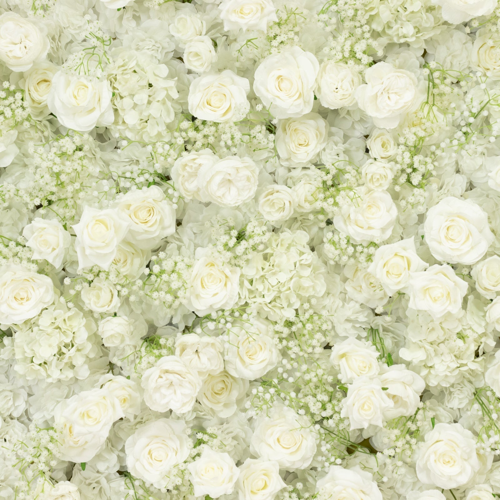 Roll Up Flower Wall Backdrop with Fabric Backing – 8ftx4ft White Artificial Silk Roses & Baby's Breath