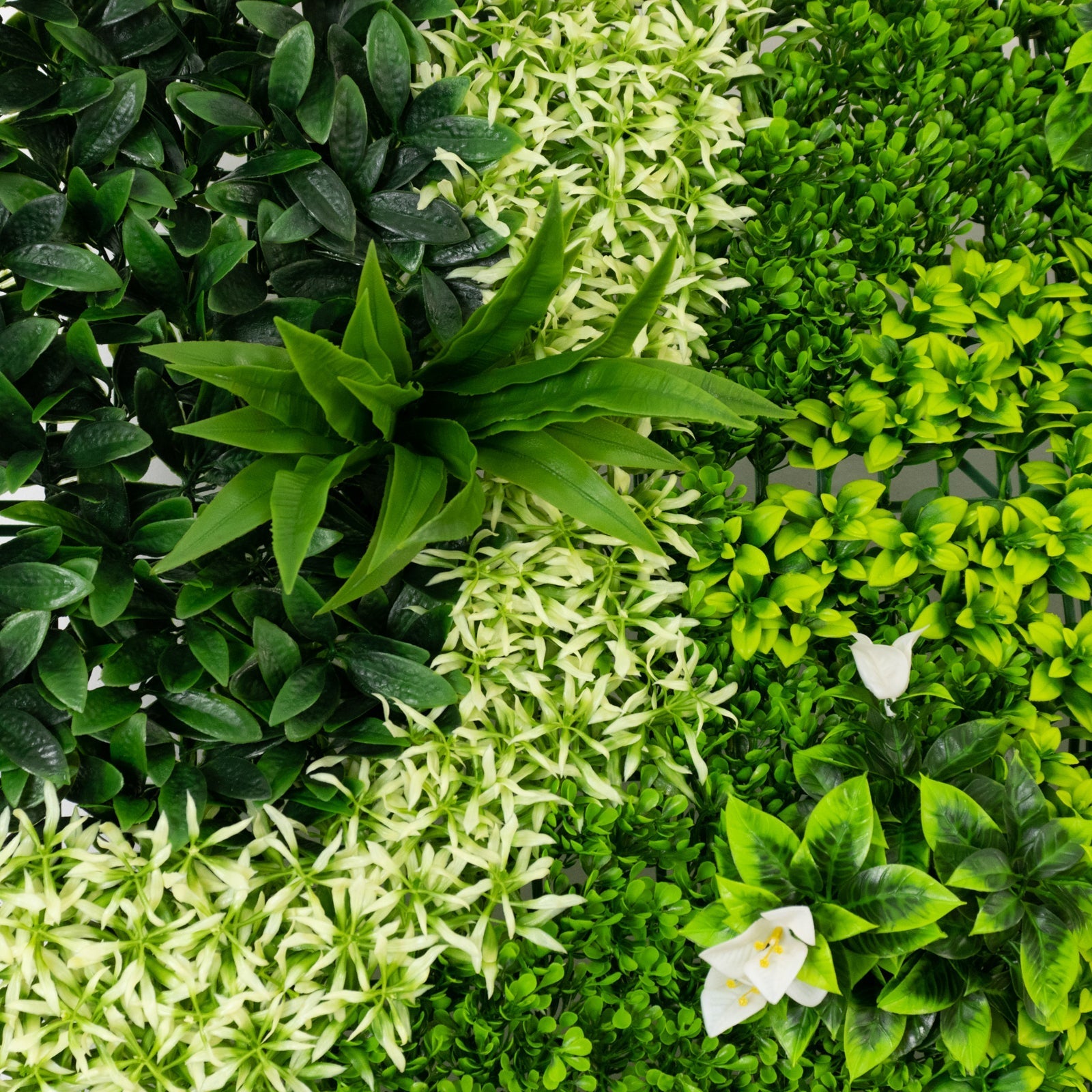 Artificial Boxwood Hedge Panels 40×40 – Greenery Wall Backdrop with Variegated Leaves and White Flowers. Outdoor UV-Protected Grass Wall Mat – 2 Panels. Covers 22 Sq. Ft.