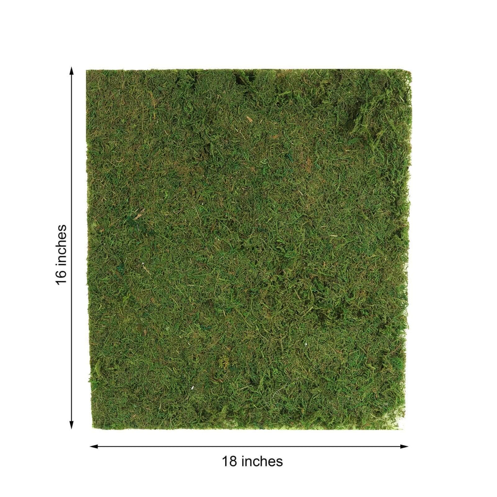 Preserved Natural Moss Wall Sheet Roll. Moss Landscape Panel 18x16