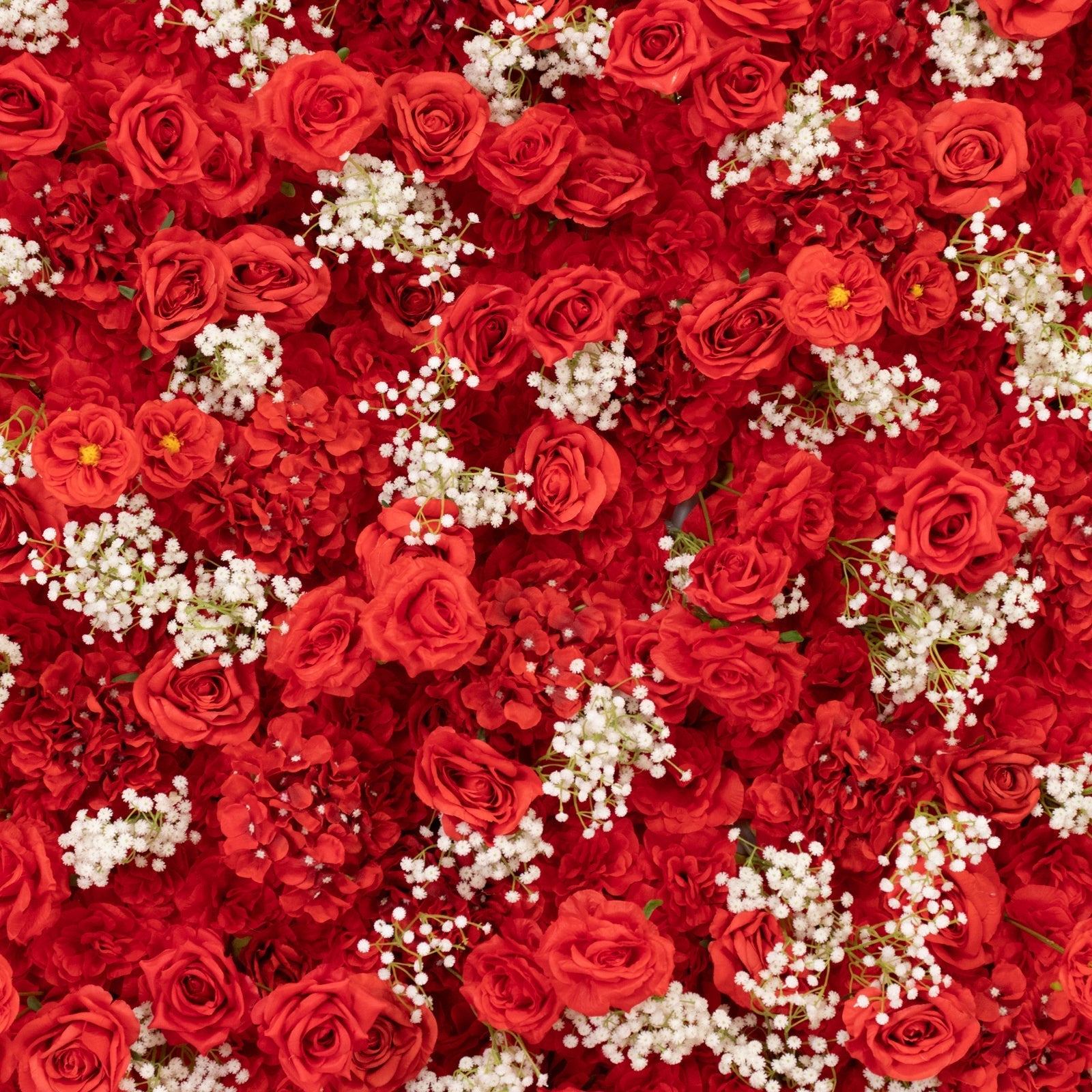 Roll Up Flower Wall Backdrop with Fabric Backing – 8ftx4ft Red Artificial Silk Roses & Baby's Breath