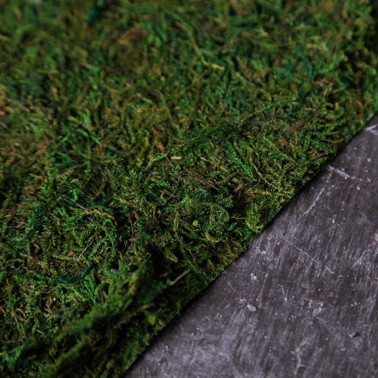 Preserved Natural Moss Wall Sheet Roll. Moss Landscape Panel 18x16