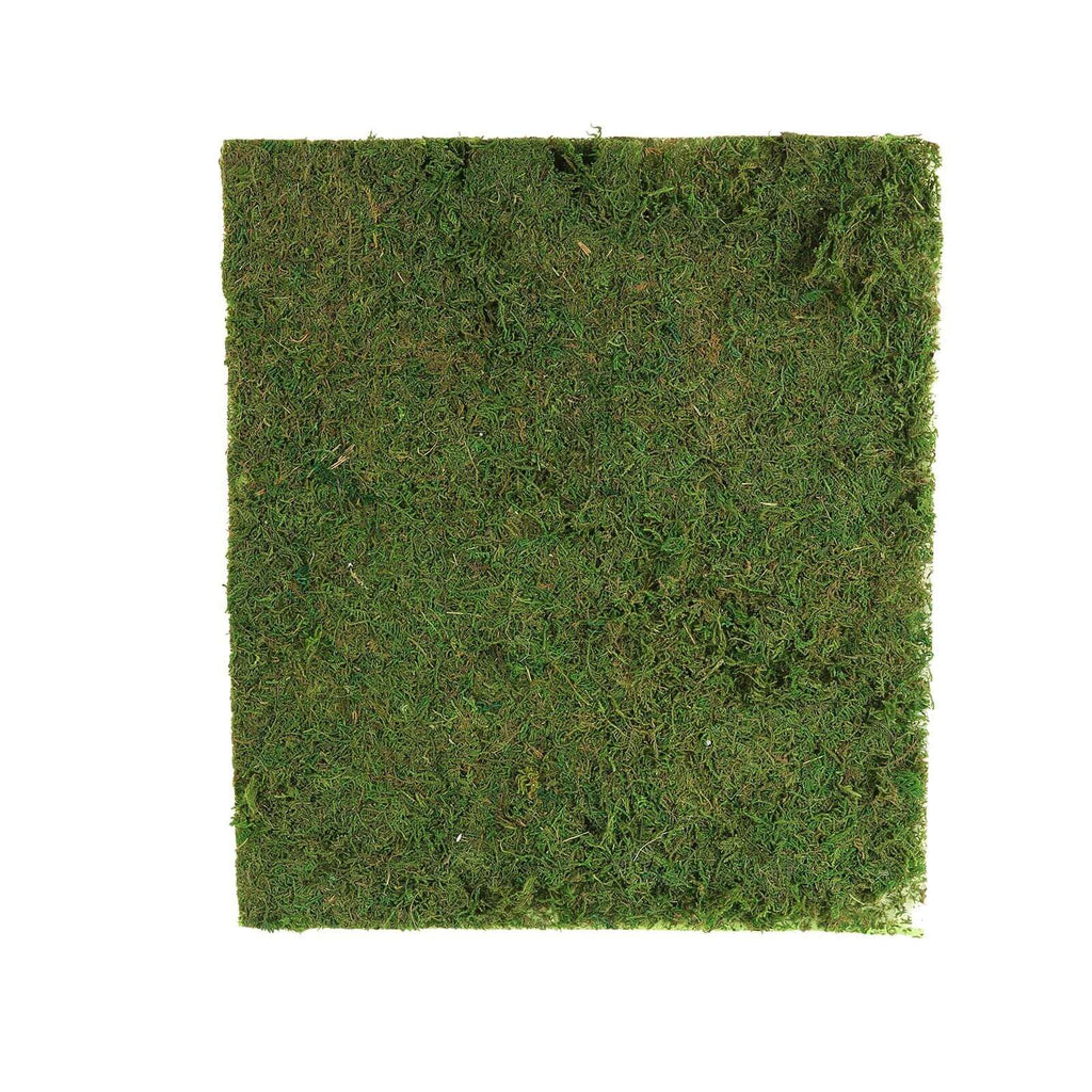 Preserved Natural Moss Wall Sheet Roll. Moss Landscape Panel 18x16