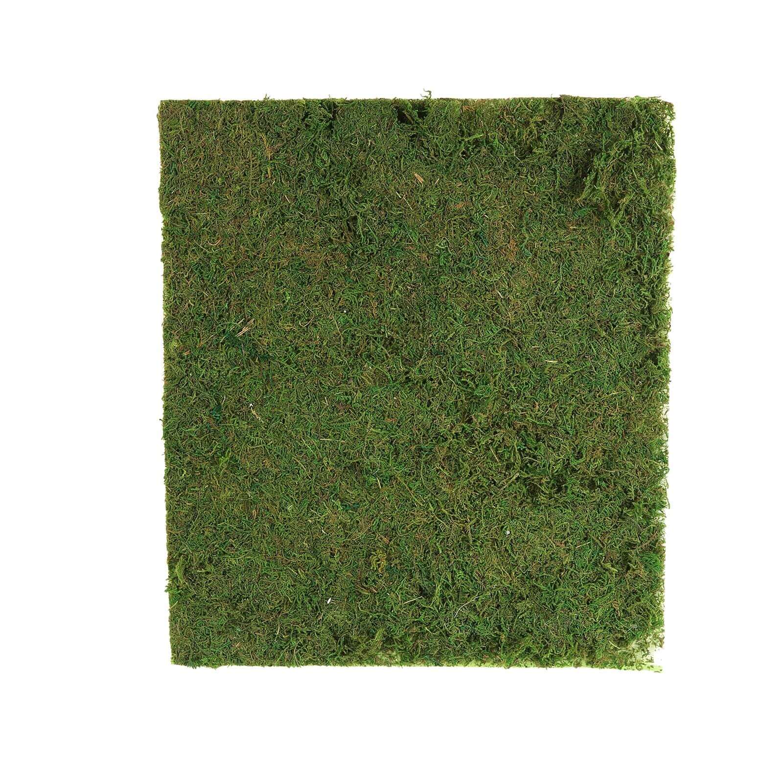 Preserved Natural Moss Wall Sheet Roll. Moss Landscape Panel 18x16